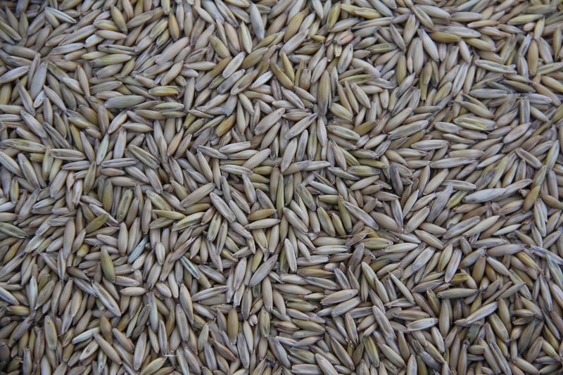 Edible vertical crops