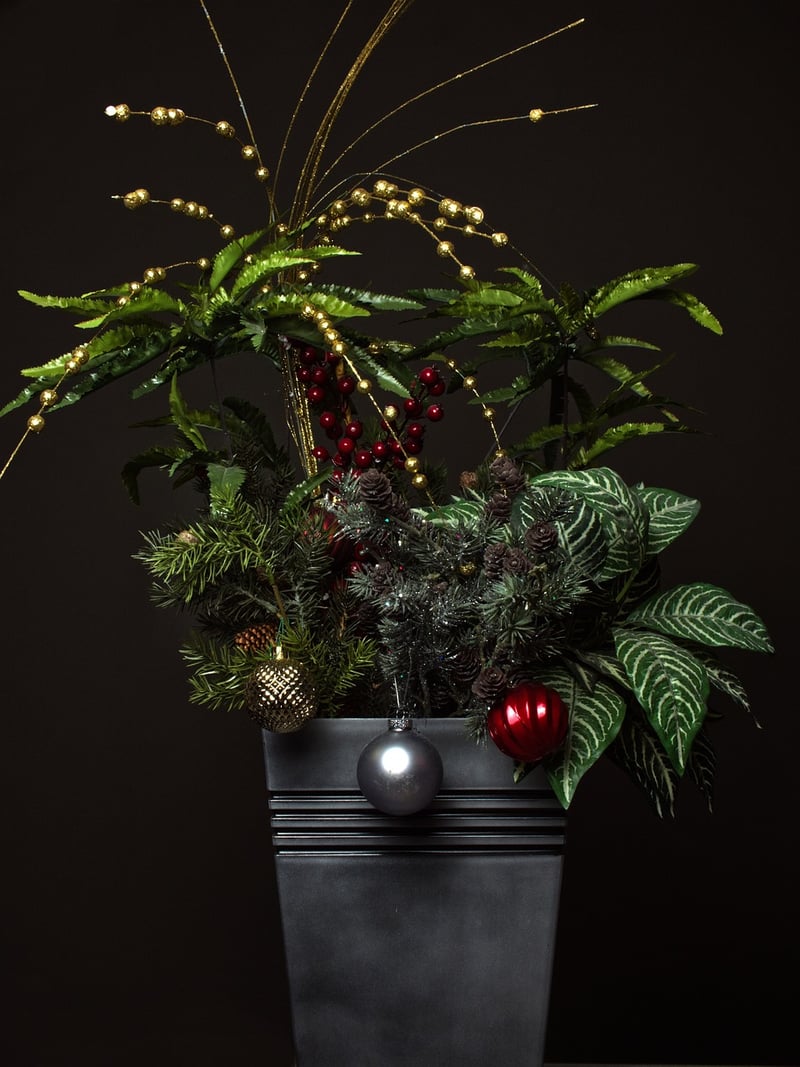 Indoor greenery ideas